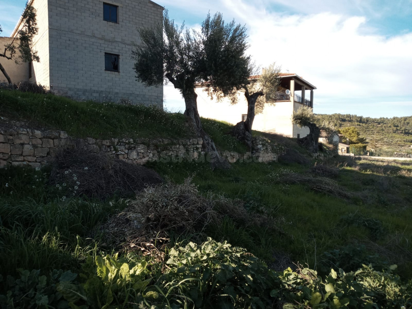 Solar en venta - Lledó - foto 3