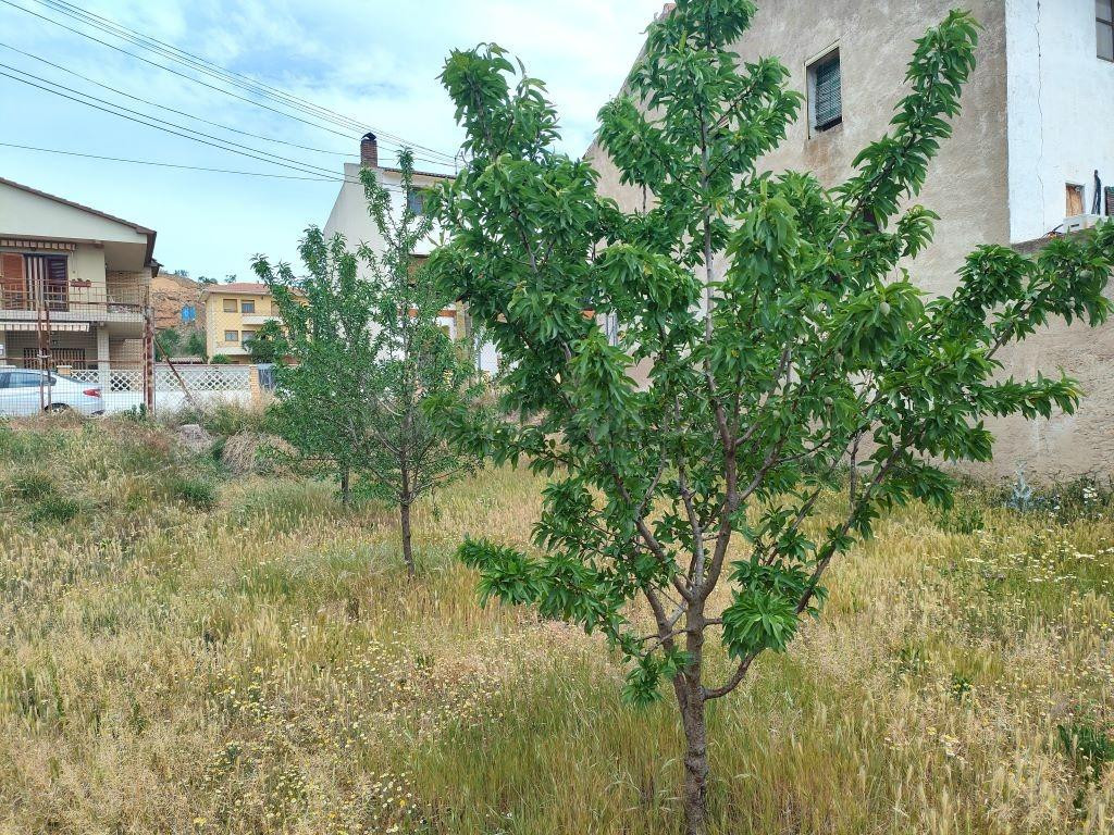Solar en venta - CENTRO - foto 3