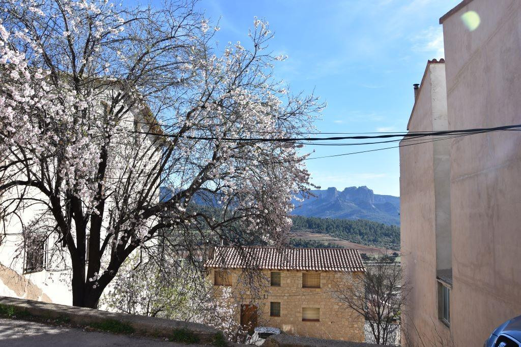 Solar en venta - Horta de sant joan - foto 2