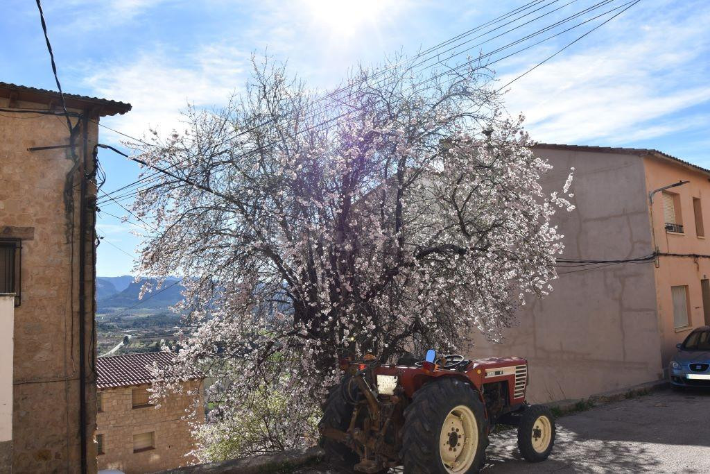 Solar en venta - Horta de sant joan - foto 4