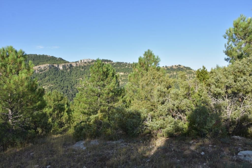 Finca rústica 135m² en venta - Beceite - foto 5