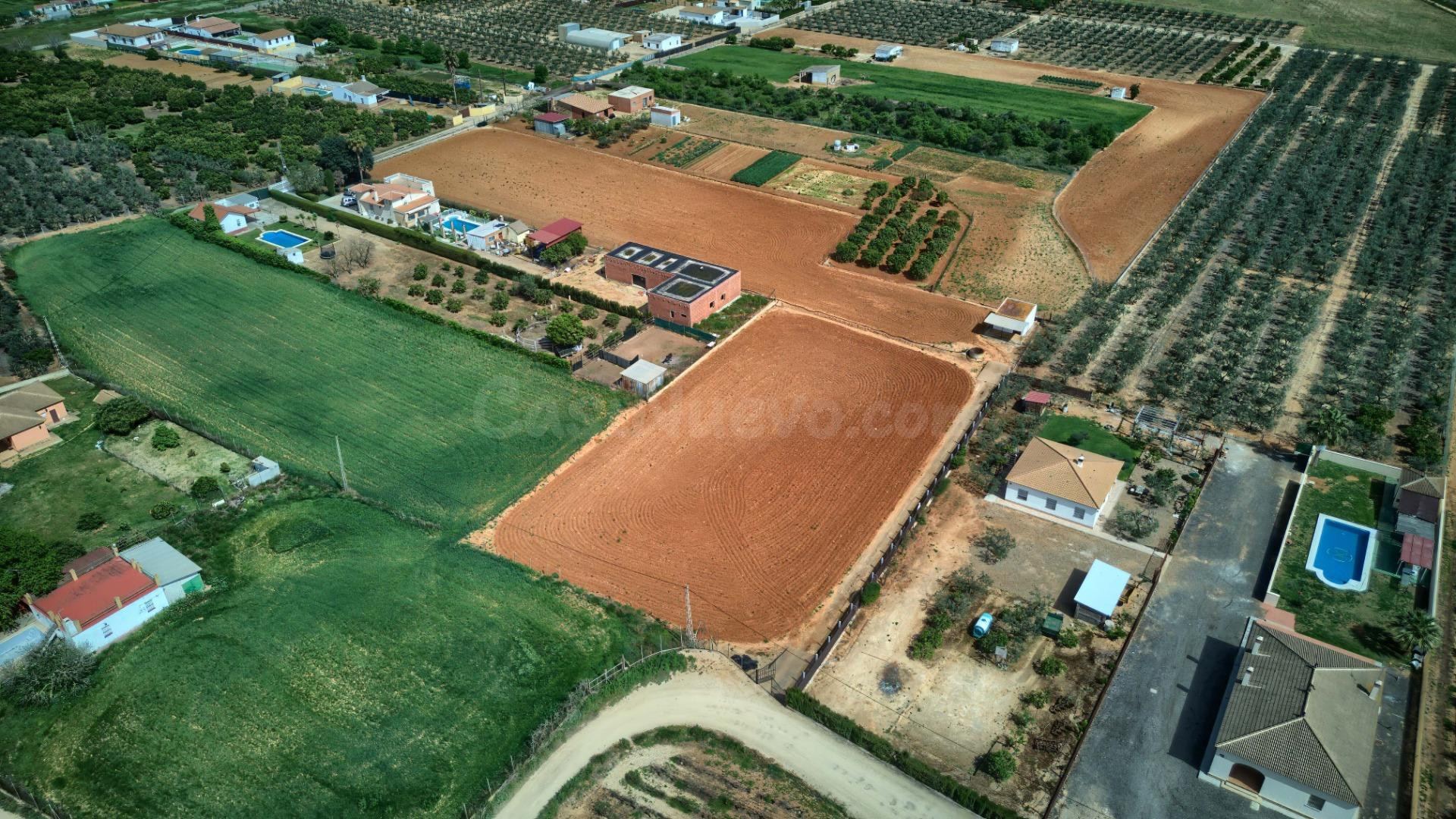 Finca rústica de 8.800 m2 con pozo, luz, construcción y doble acceso desde dos caminos en Sanlúcar la Mayor