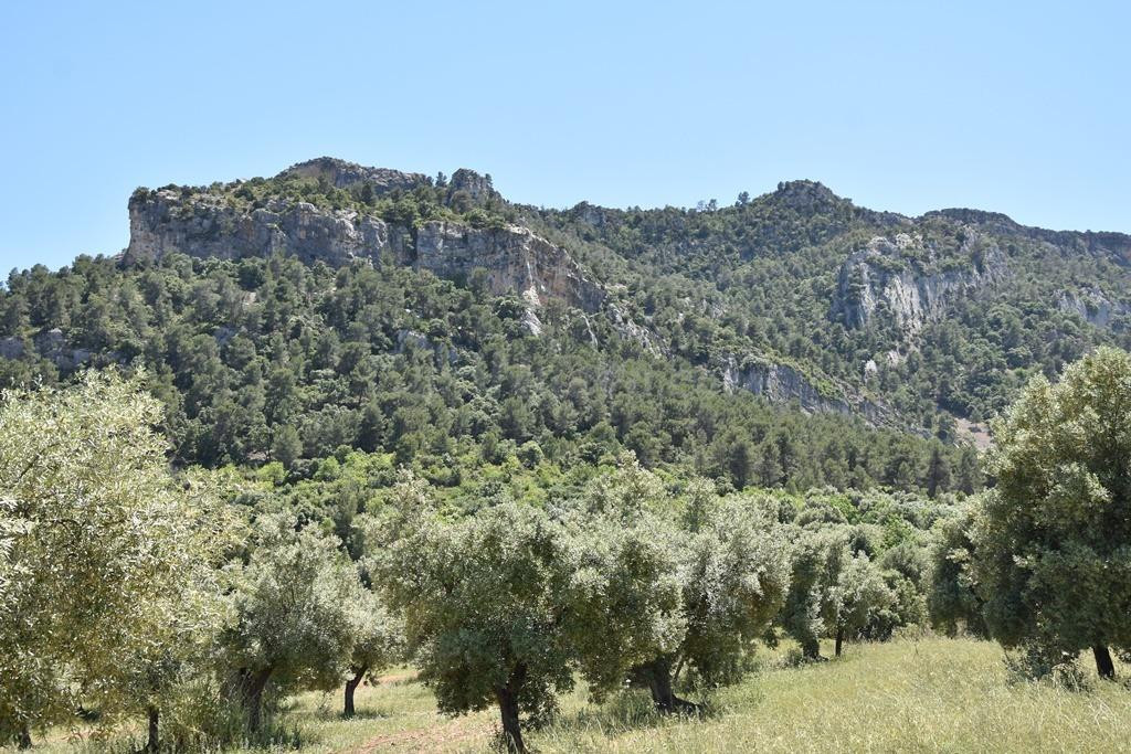 Finca rústica con maset en Valderrobres - foto 5