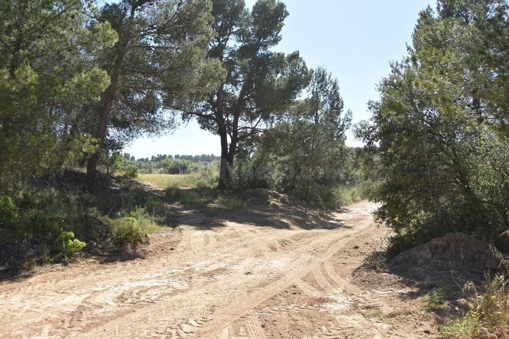 Finca rústica en Cretas - foto 5