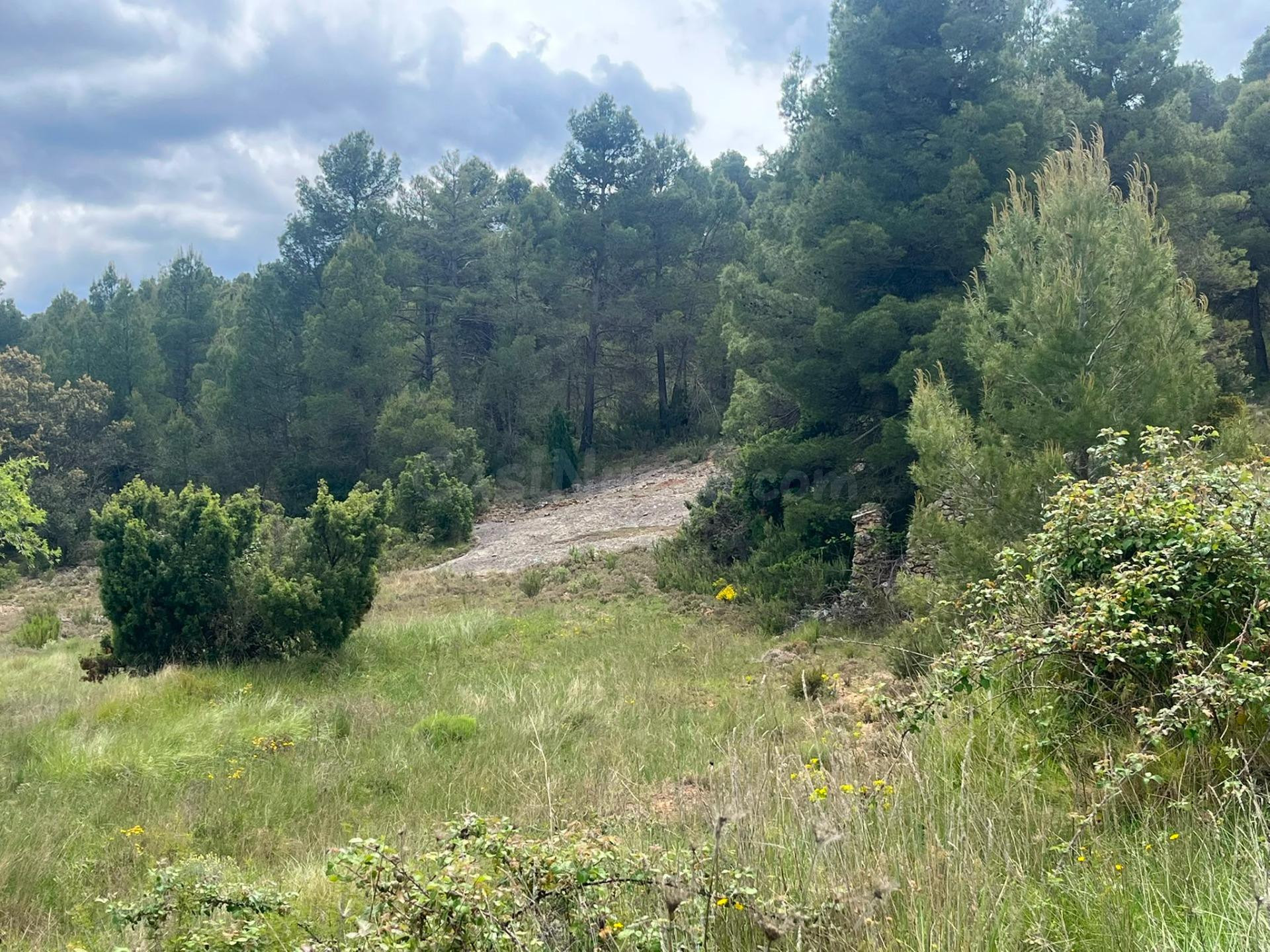 Finca rústica con maset en Ráfales - foto 2