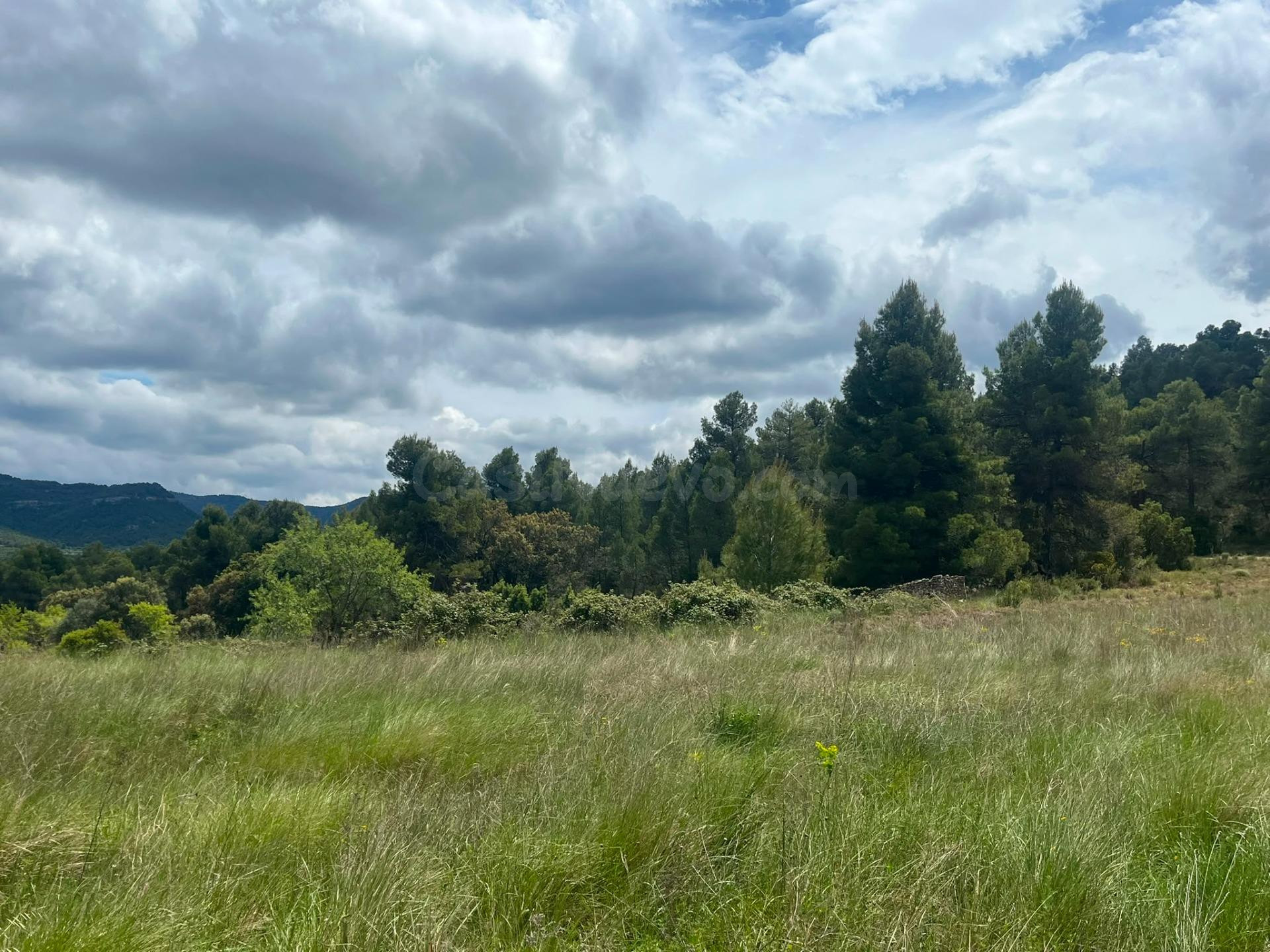 Finca rústica con maset en Ráfales - foto 4