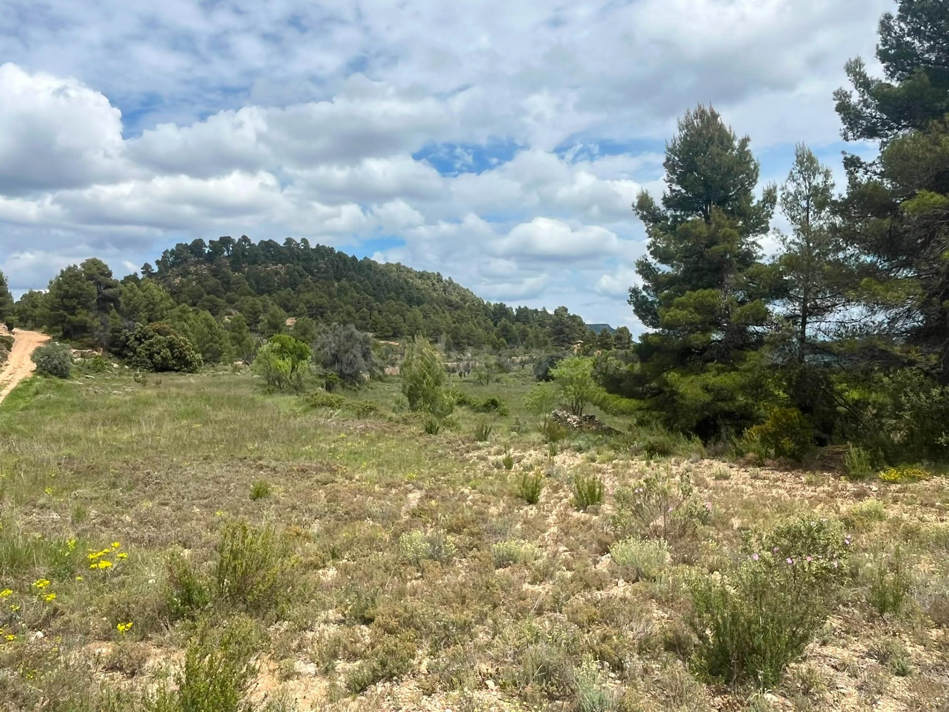 Finca rústica con maset en Ráfales - foto 5