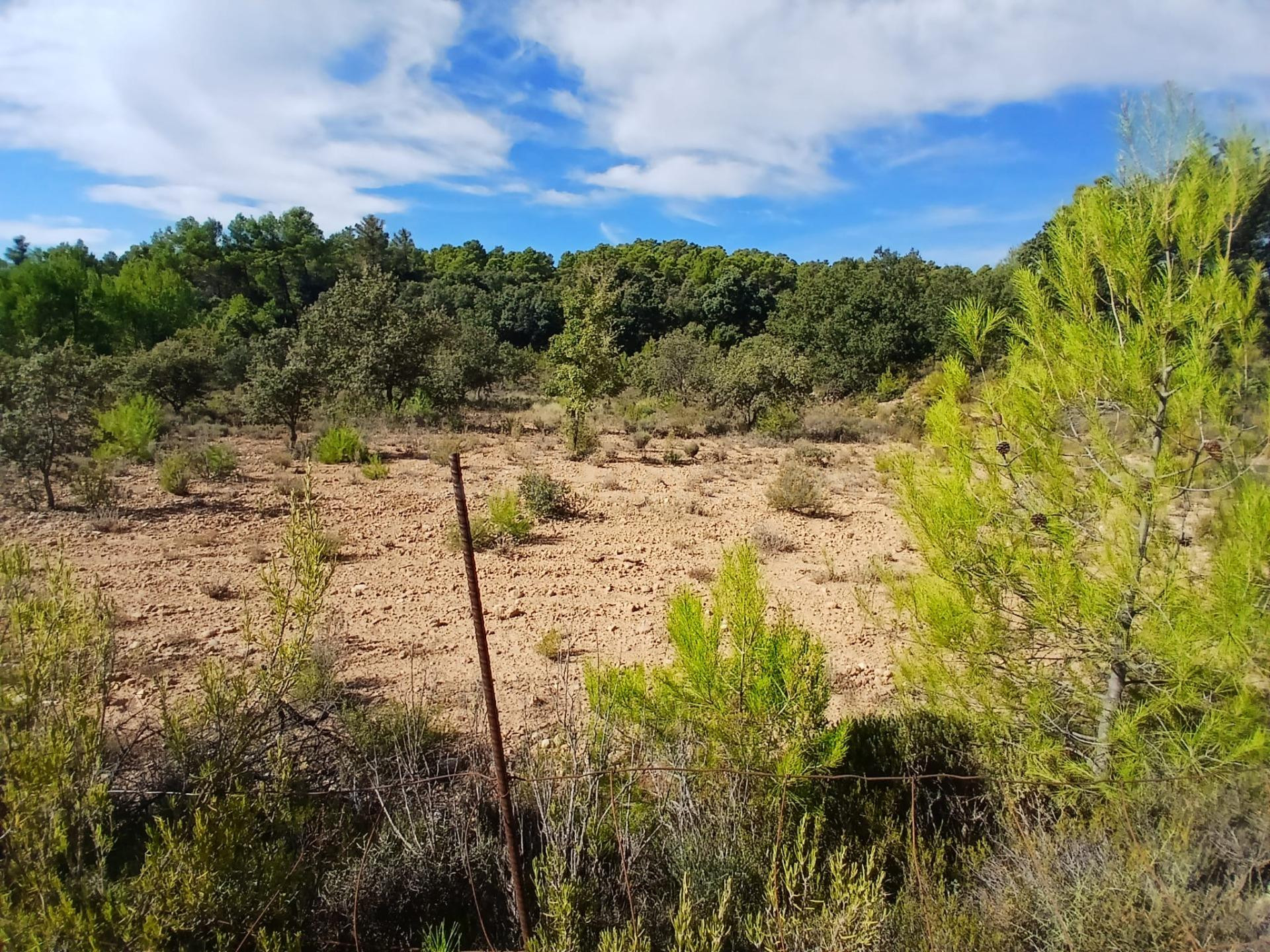 Finca rústica en Ráfales - foto 4