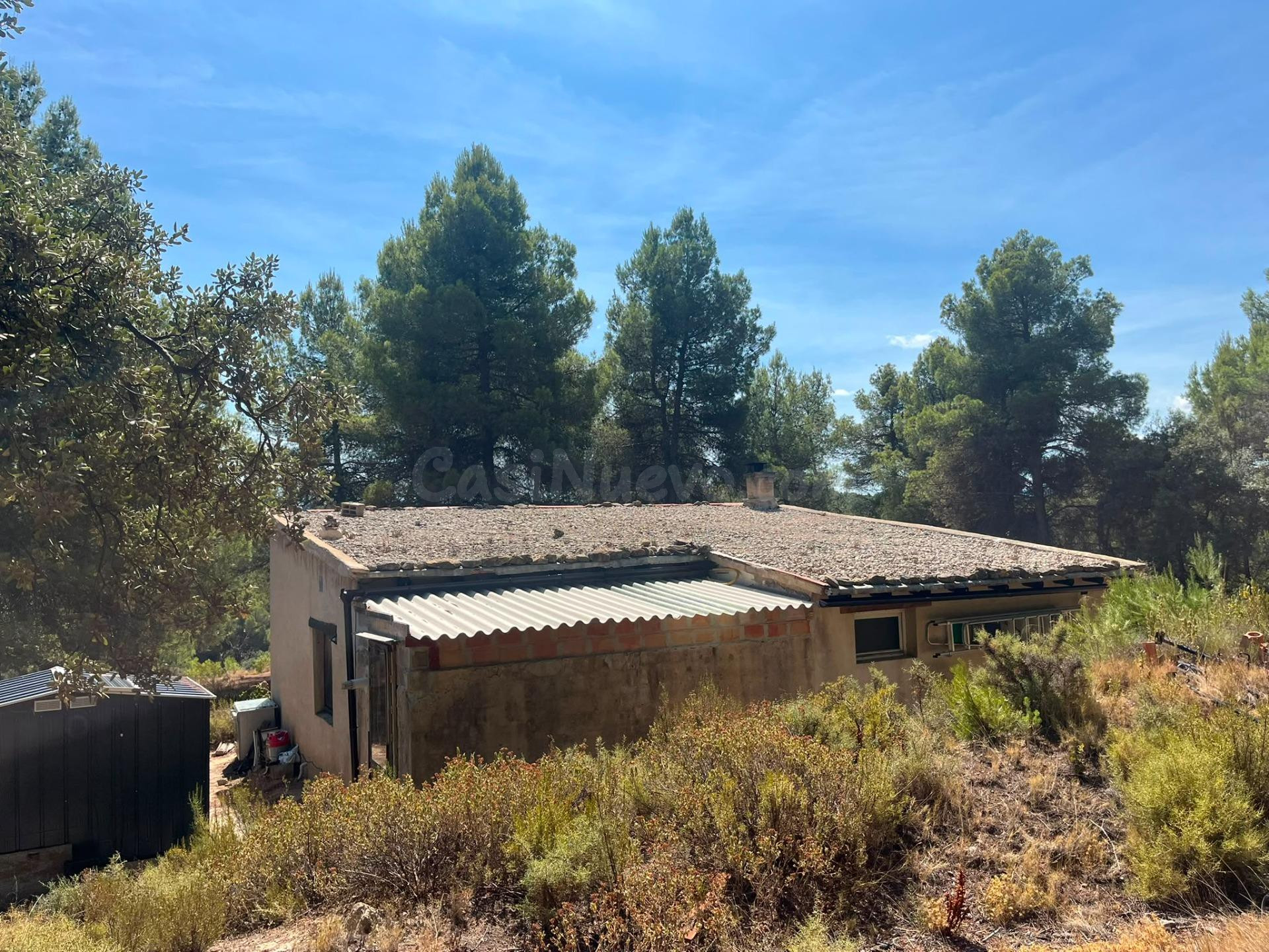 Finca rústica con almacén en Ráfales - foto 2
