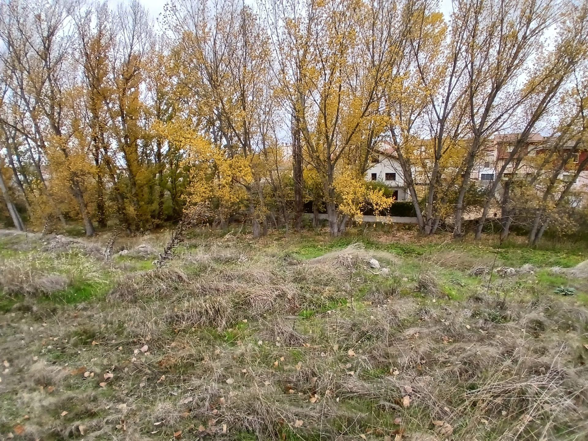 Parcela urbana en venta en Olombrada (Segovia). Superficie 4 - foto 4