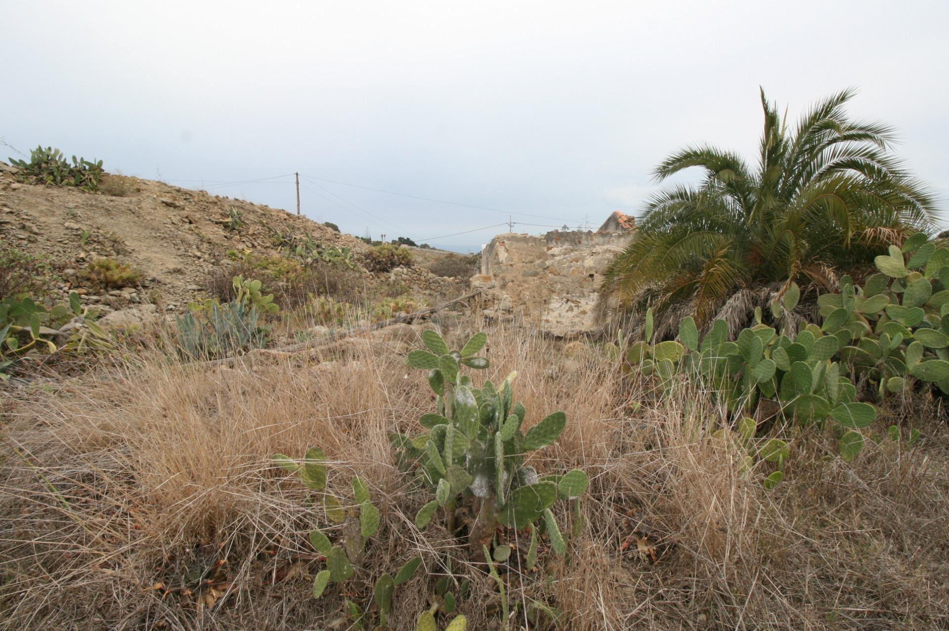 Terreno Rústico en venta - El moreto gran canaria - foto 3