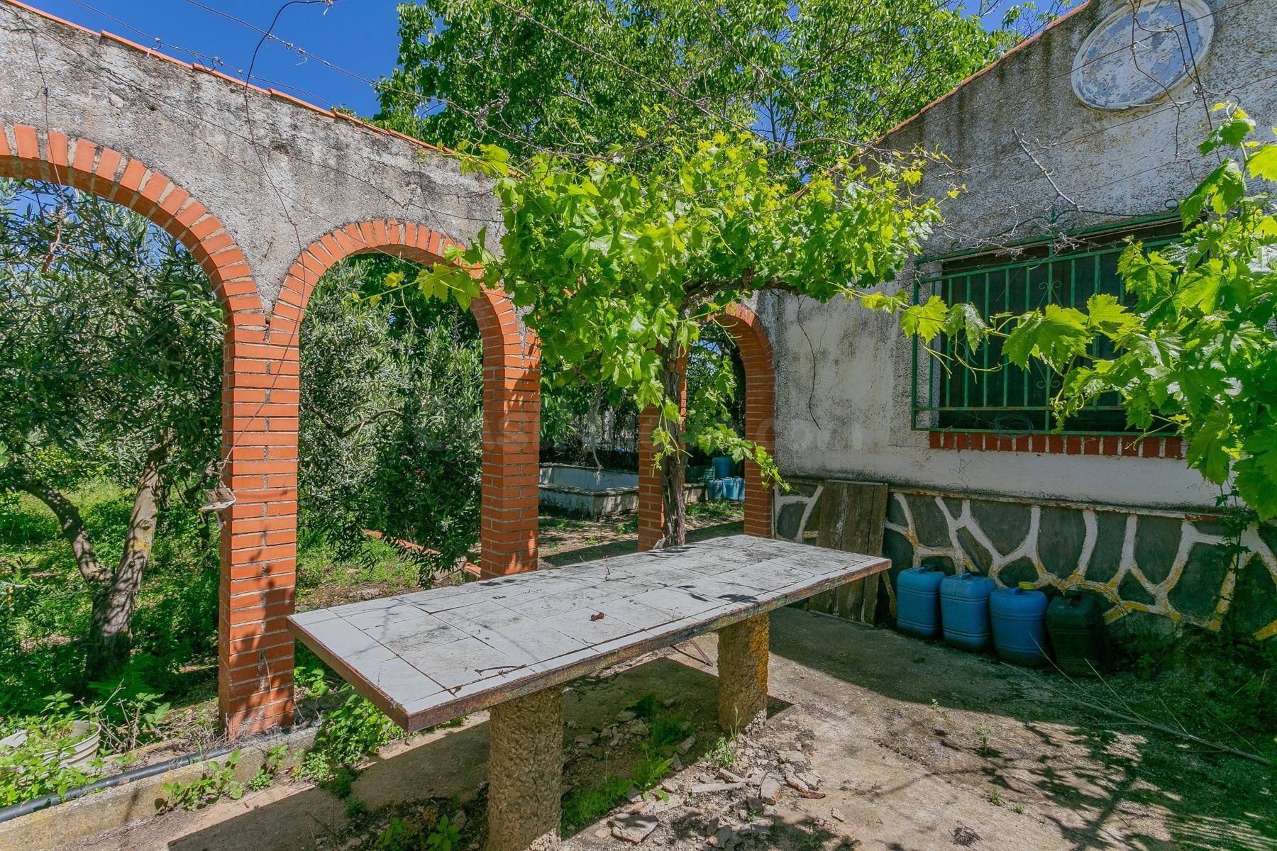 "¡Vive la vida en el campo! Terreno con casa de aperos y cultivos de olivos y frutales en ve
