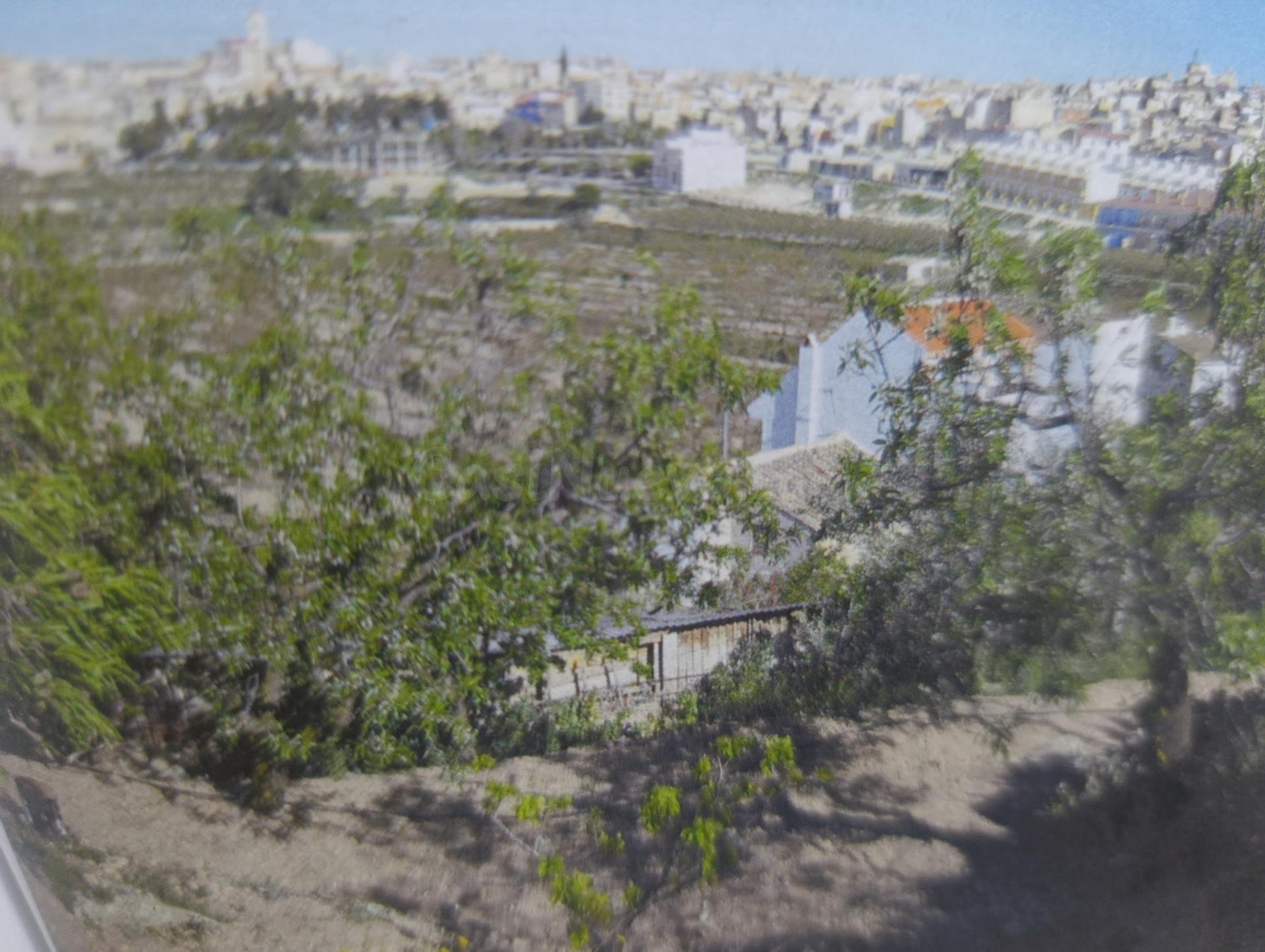 TERRENO URBANO DE 4000 METROS CUADRADOS EN VENTA EN BULLAS - foto 2