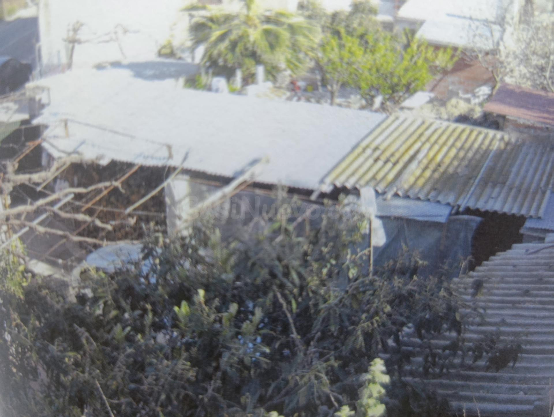 TERRENO URBANO DE 4000 METROS CUADRADOS EN VENTA EN BULLAS - foto 3