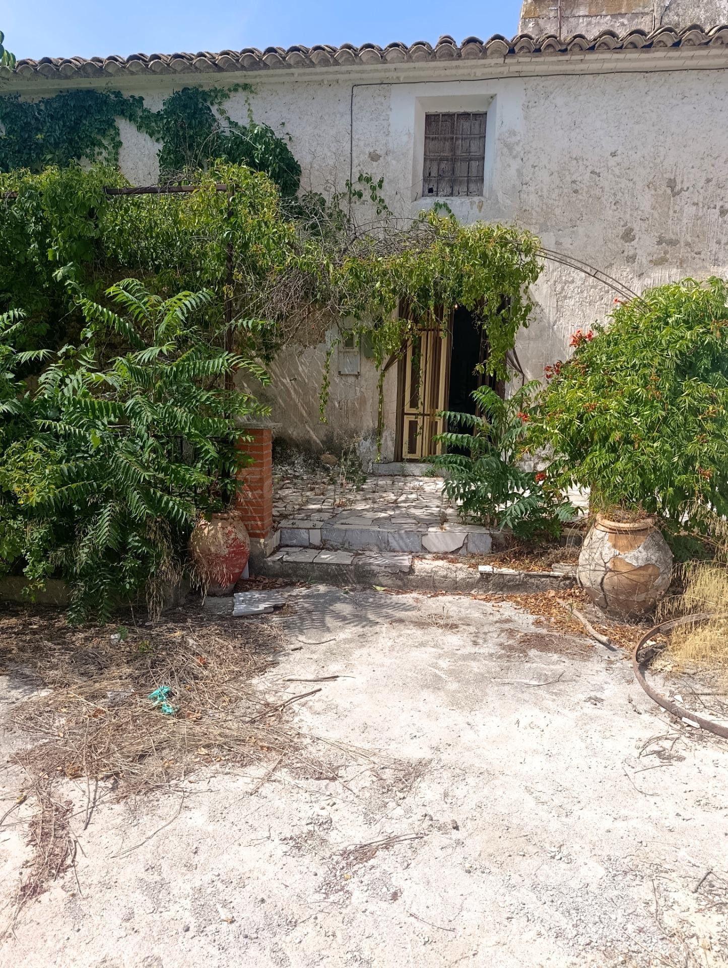 Finca con casa antigua y gran potencial para alojamientos rurales en Capel (Cehegín)