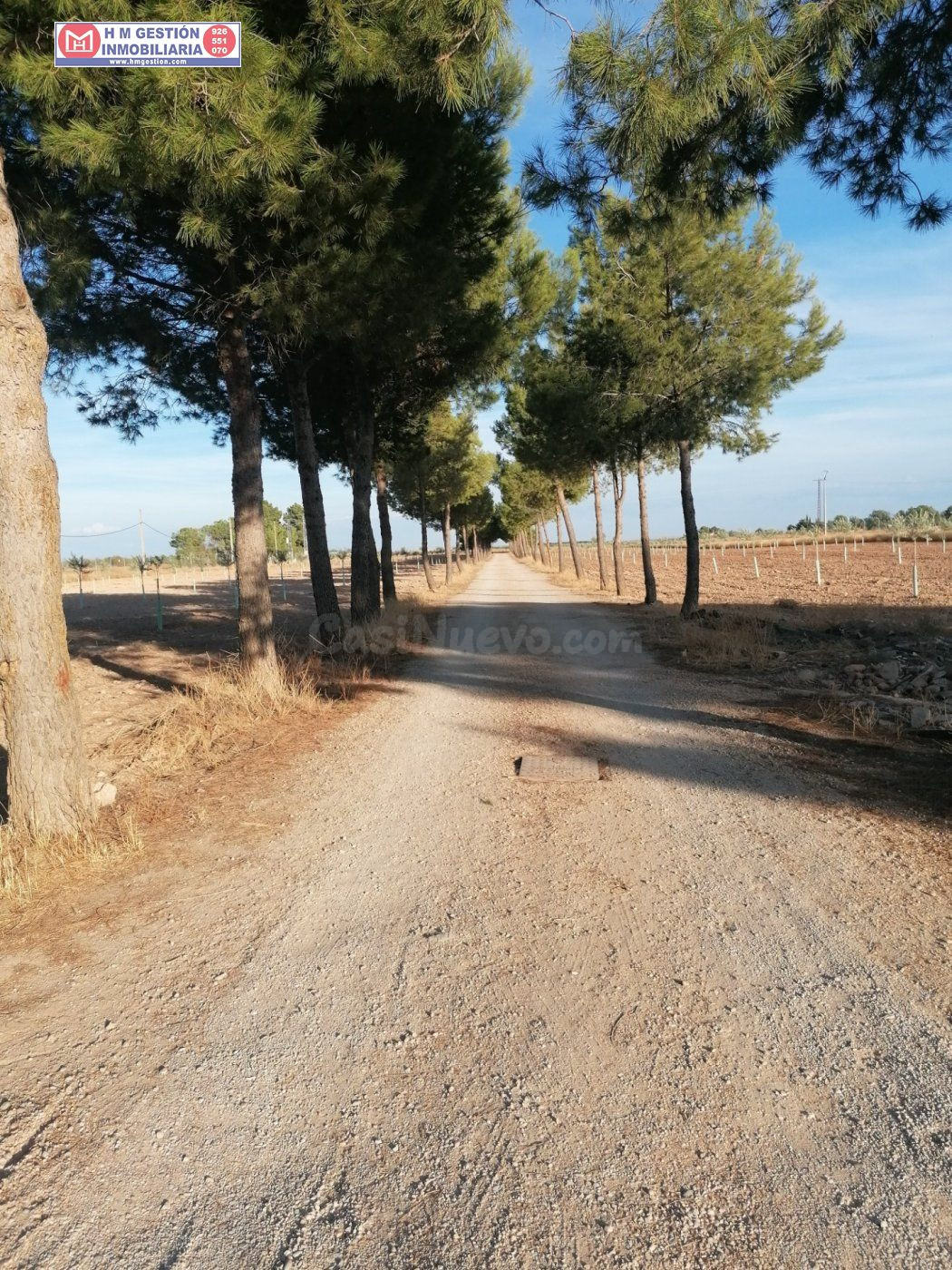Casa en el campo sobre parcela de 30.000 metros con 400 oliv - foto 2