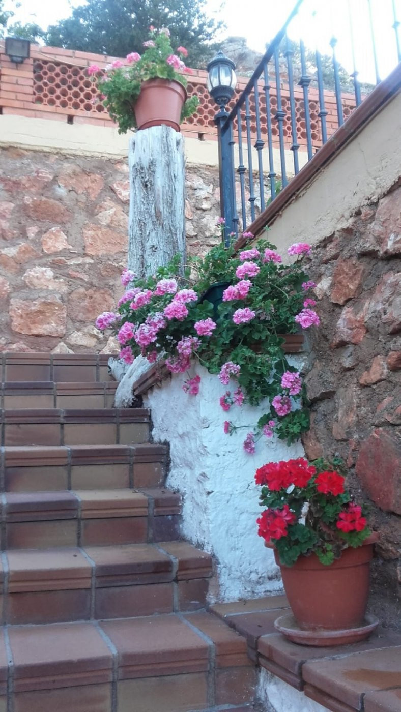 Excelente  chalet, con piscina,  jardín y con unas vistas es - foto 5