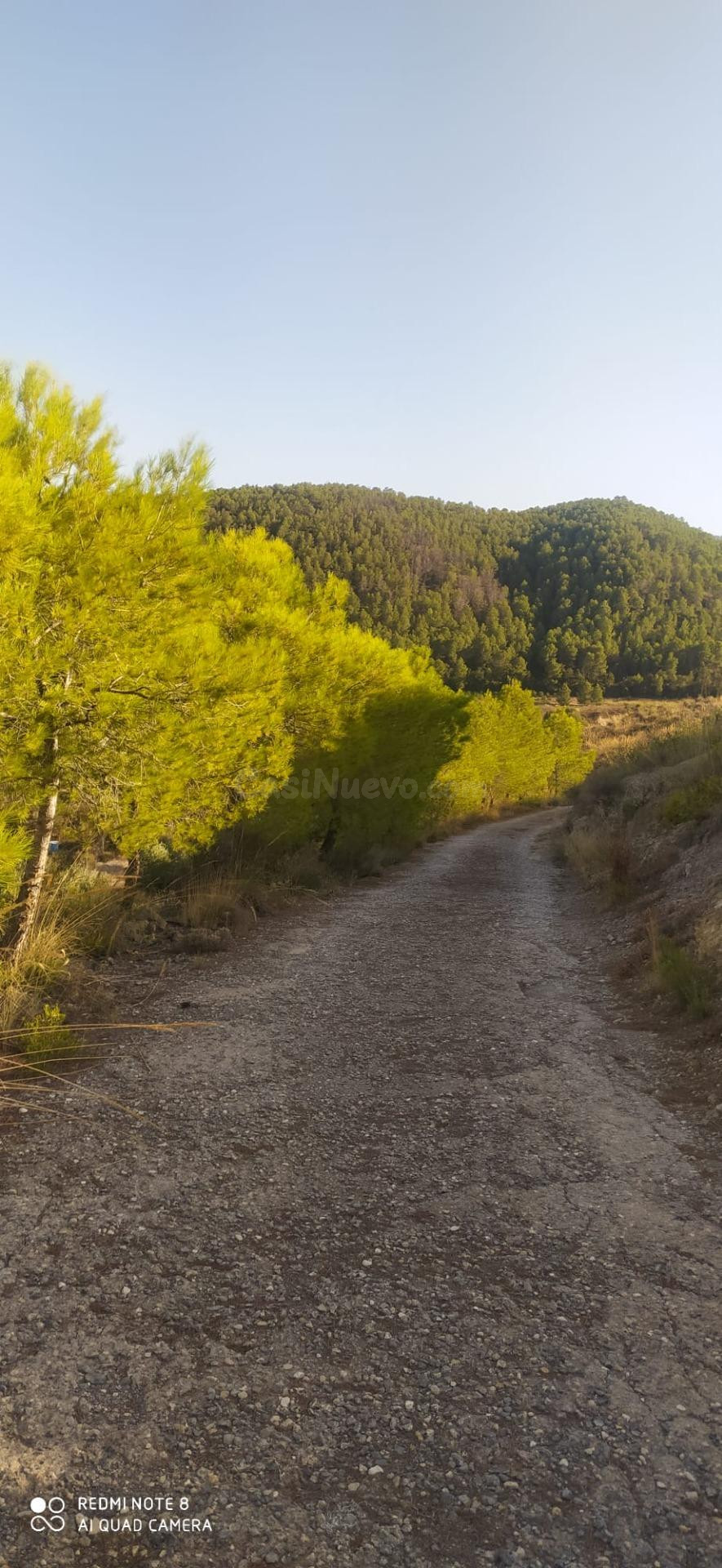 Casa de campo con 17.111 m2 de parcela en Paraje El Tollo, Cehegín