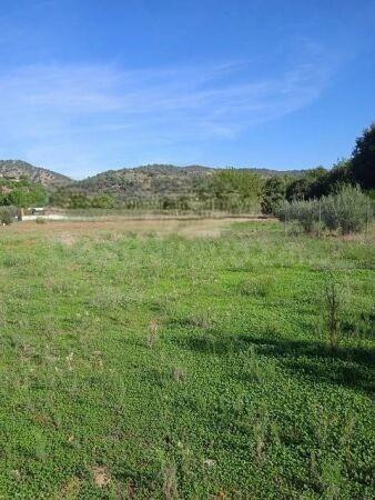 Parcela de terreno de 1.500 m2 EN CUEVAS BAJAS/ ZONA BAJA - foto 2