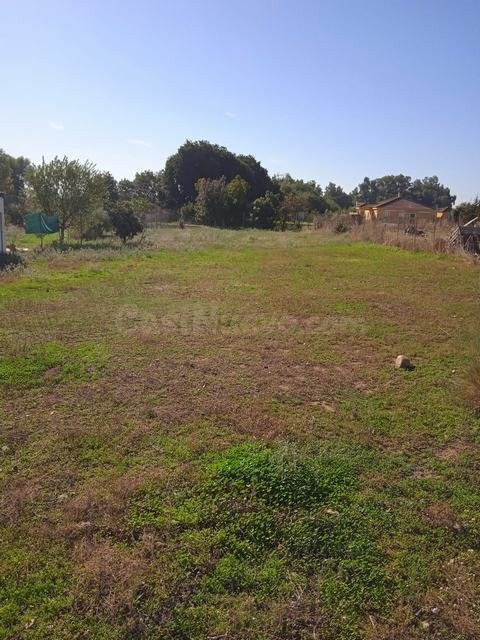 Parcela de terreno de 1.500 m2 EN CUEVAS BAJAS/ ZONA BAJA - foto 4