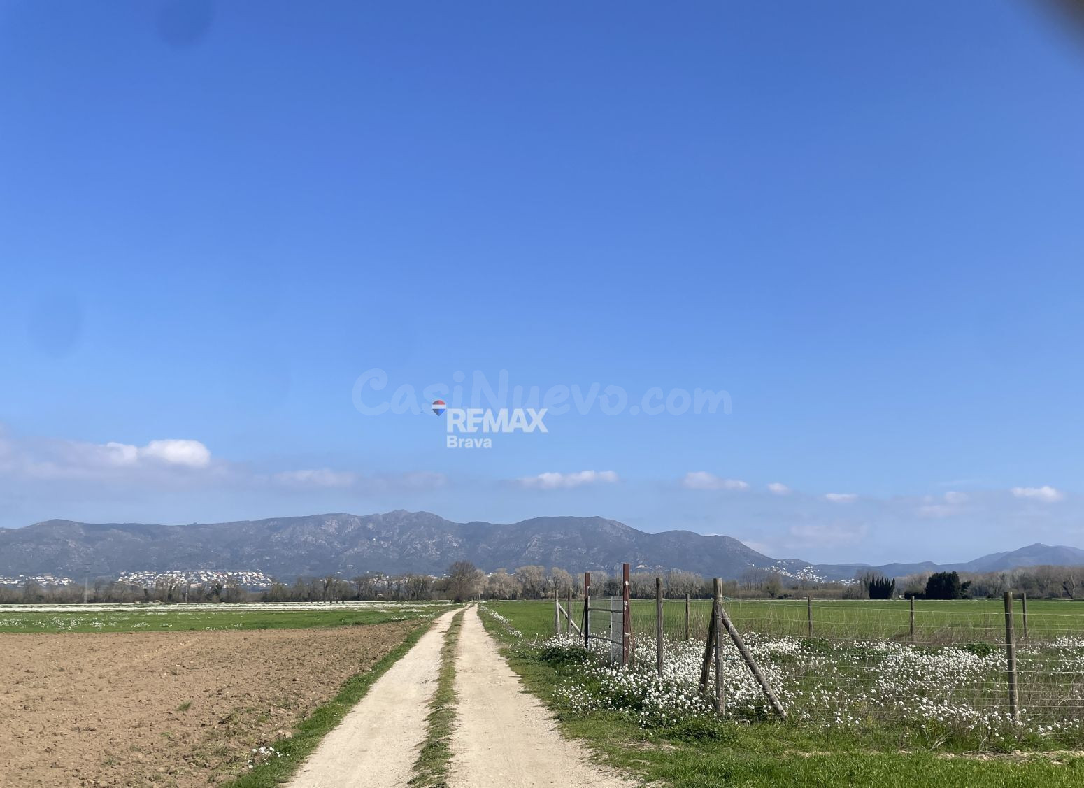 Castelló d'Empúries | Finca rústica no edificable en un ento - foto 2