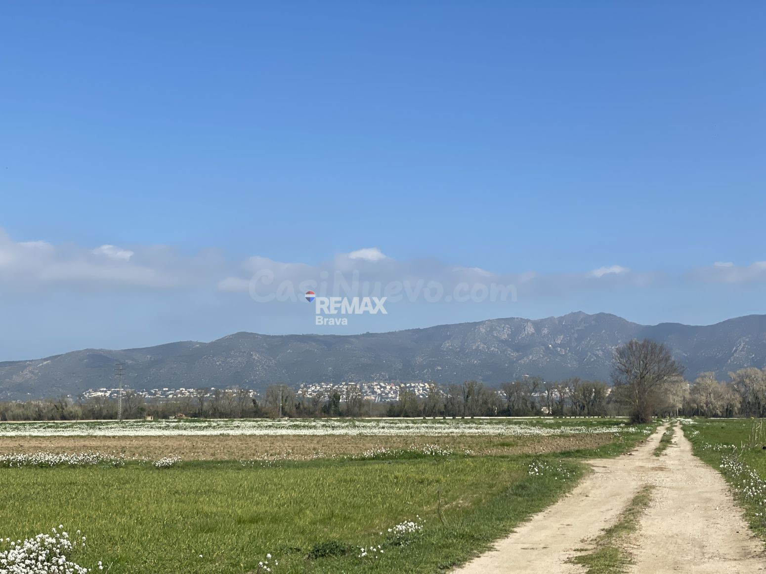 Castelló d'Empúries | Finca rústica no edificable en un ento - foto 4