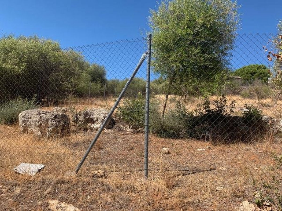 ZONA CHARCO ROTO - Parcela de terreno de 1500 m2 con punto d - foto 2