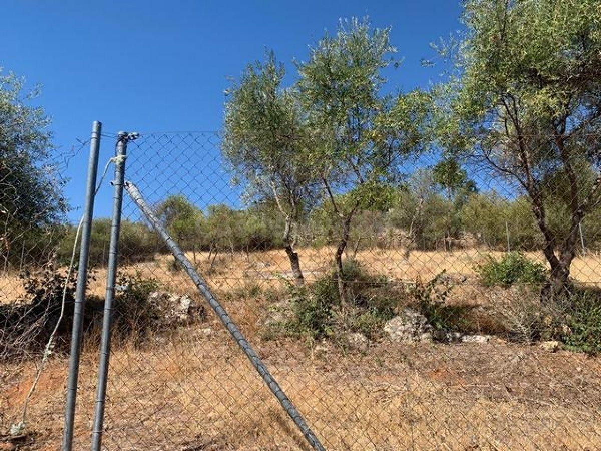 ZONA CHARCO ROTO - Parcela de terreno de 1500 m2 con punto d - foto 3