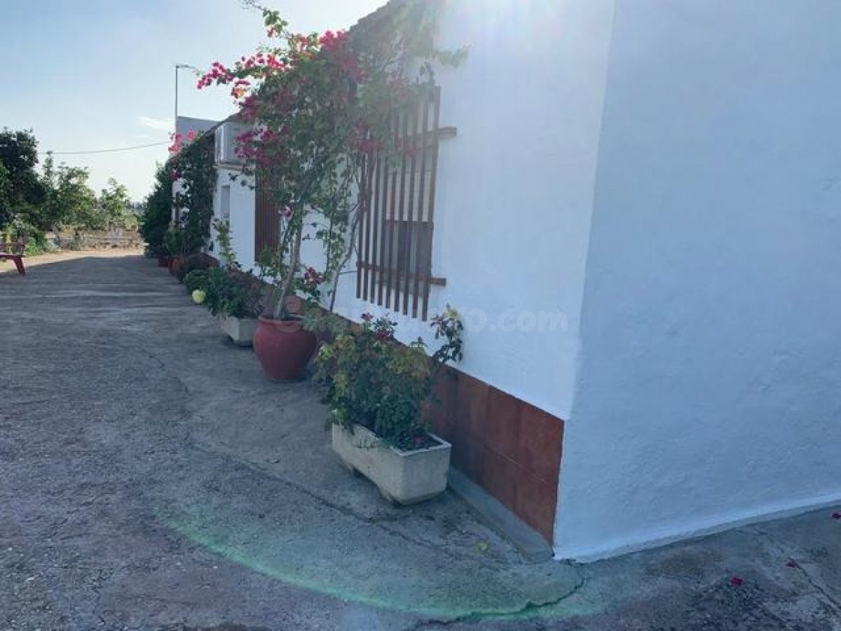ZONA CORTIJO DEL RUBIO - Parcela de 6.000 m, casa de 200 m2 y nave de 500 m2