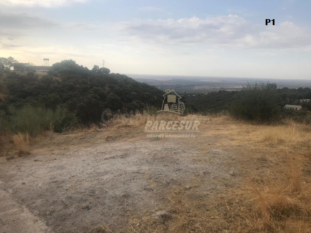 CUEVAS BAJAS- Parcelas de 2.000 m con pozo comunitario y pun
