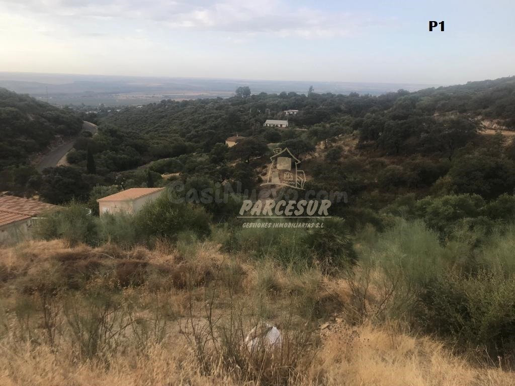 CUEVAS BAJAS- Parcelas de 2.000 m con pozo comunitario y pun - foto 2