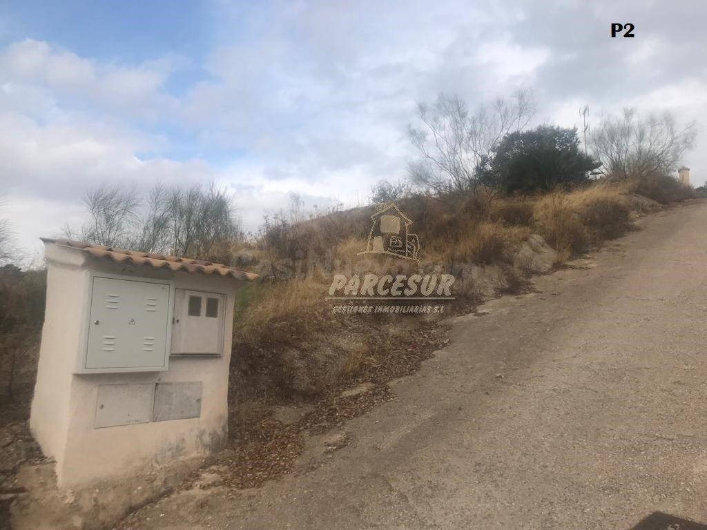 CUEVAS BAJAS- Parcelas de 2.000 m con pozo comunitario y pun - foto 4