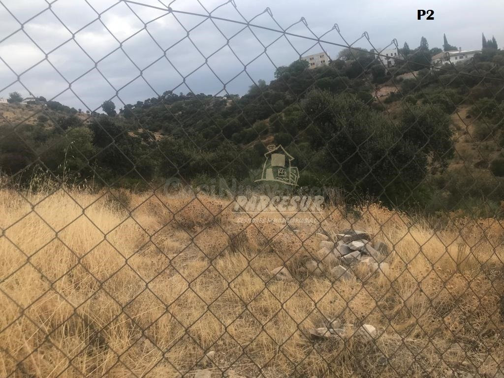 CUEVAS BAJAS- Parcelas de 2.000 m con pozo comunitario y pun - foto 5