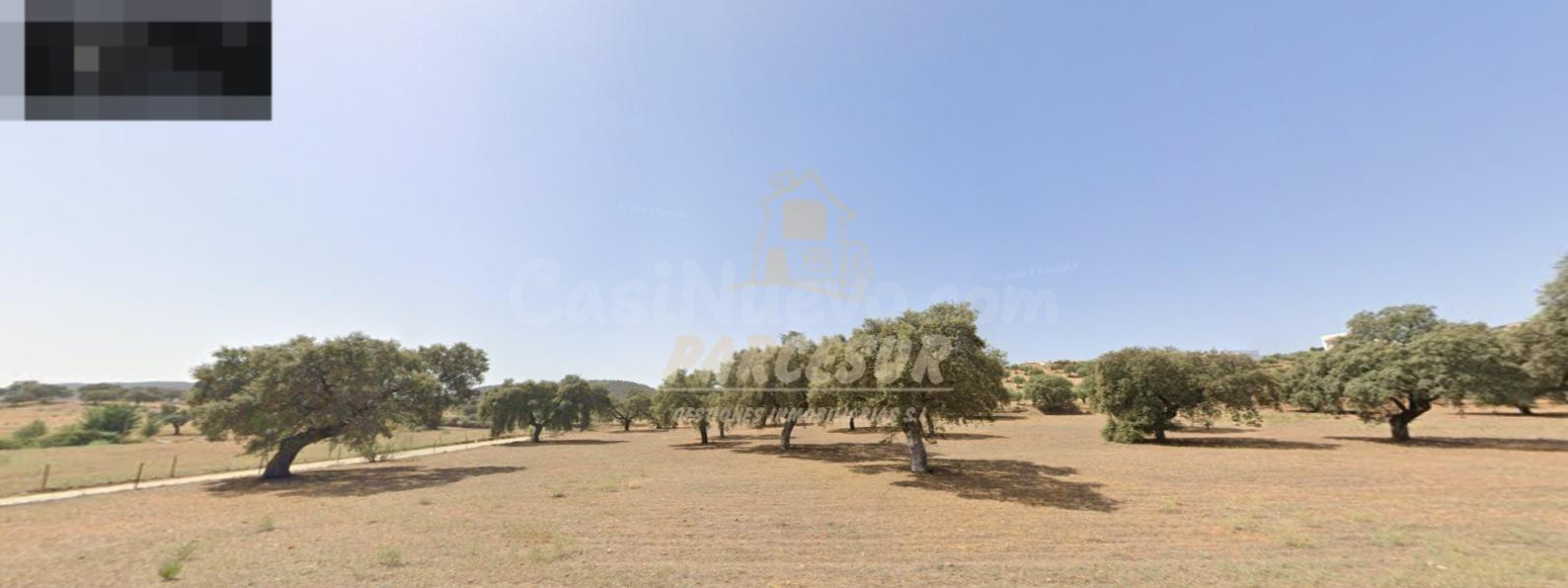 ZONA BELMEZ- Se vende finca agrícola de 39.000 m en total.