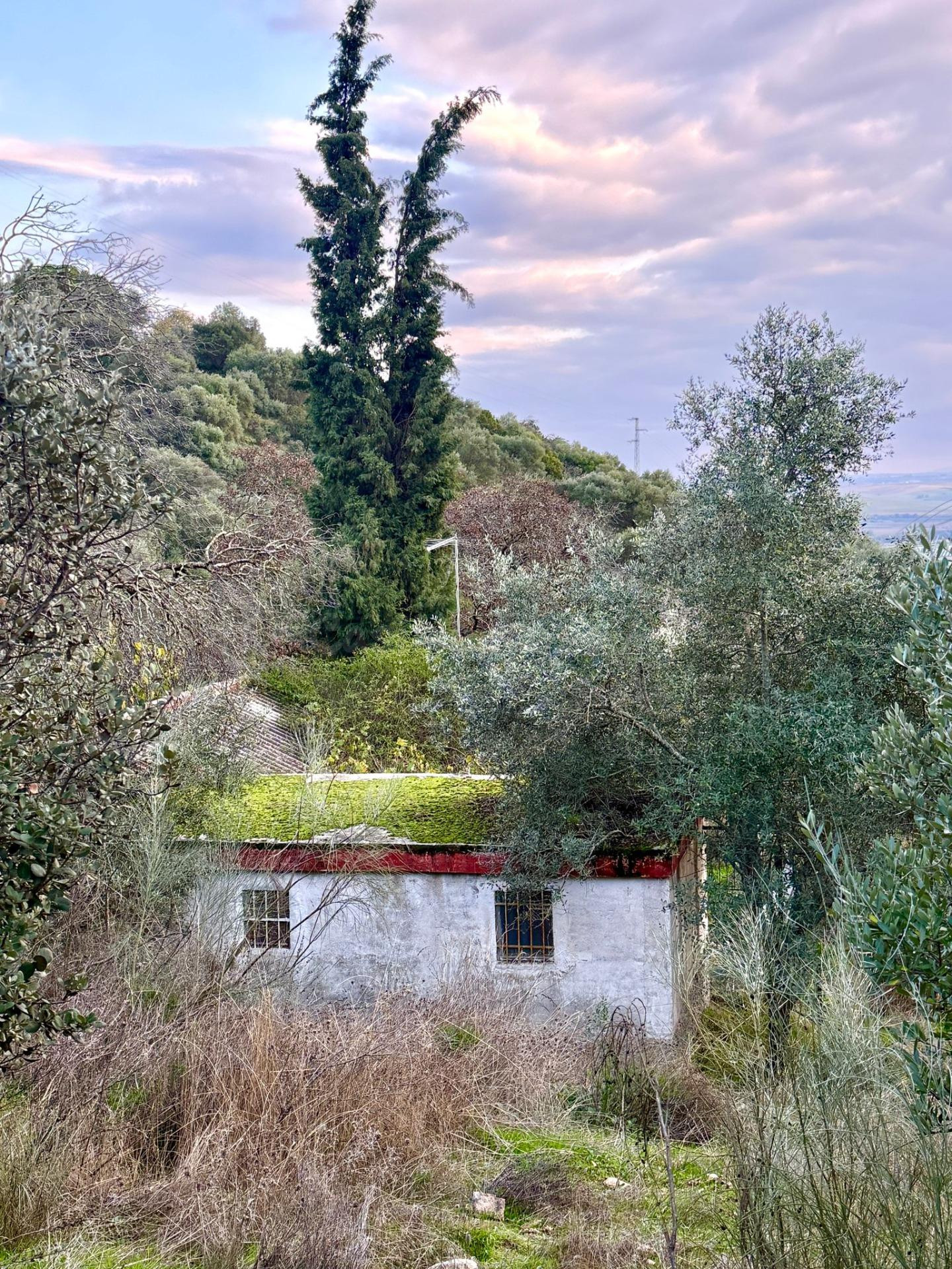 Parcela con edificación, Almodóvar del Río - Oportunidad Úni - foto 2