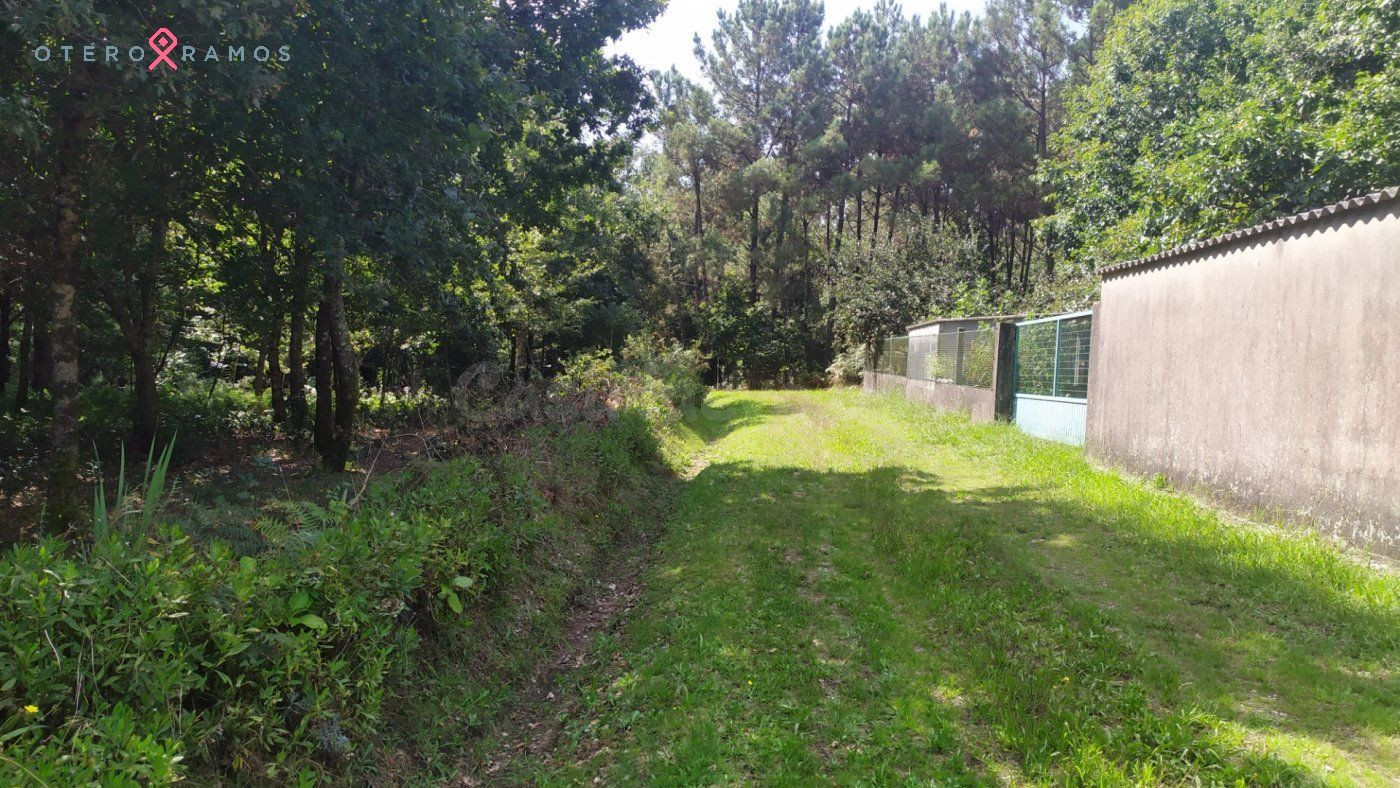 VENTA DE TERRENO EDIFICABLE EN TEO - foto 2