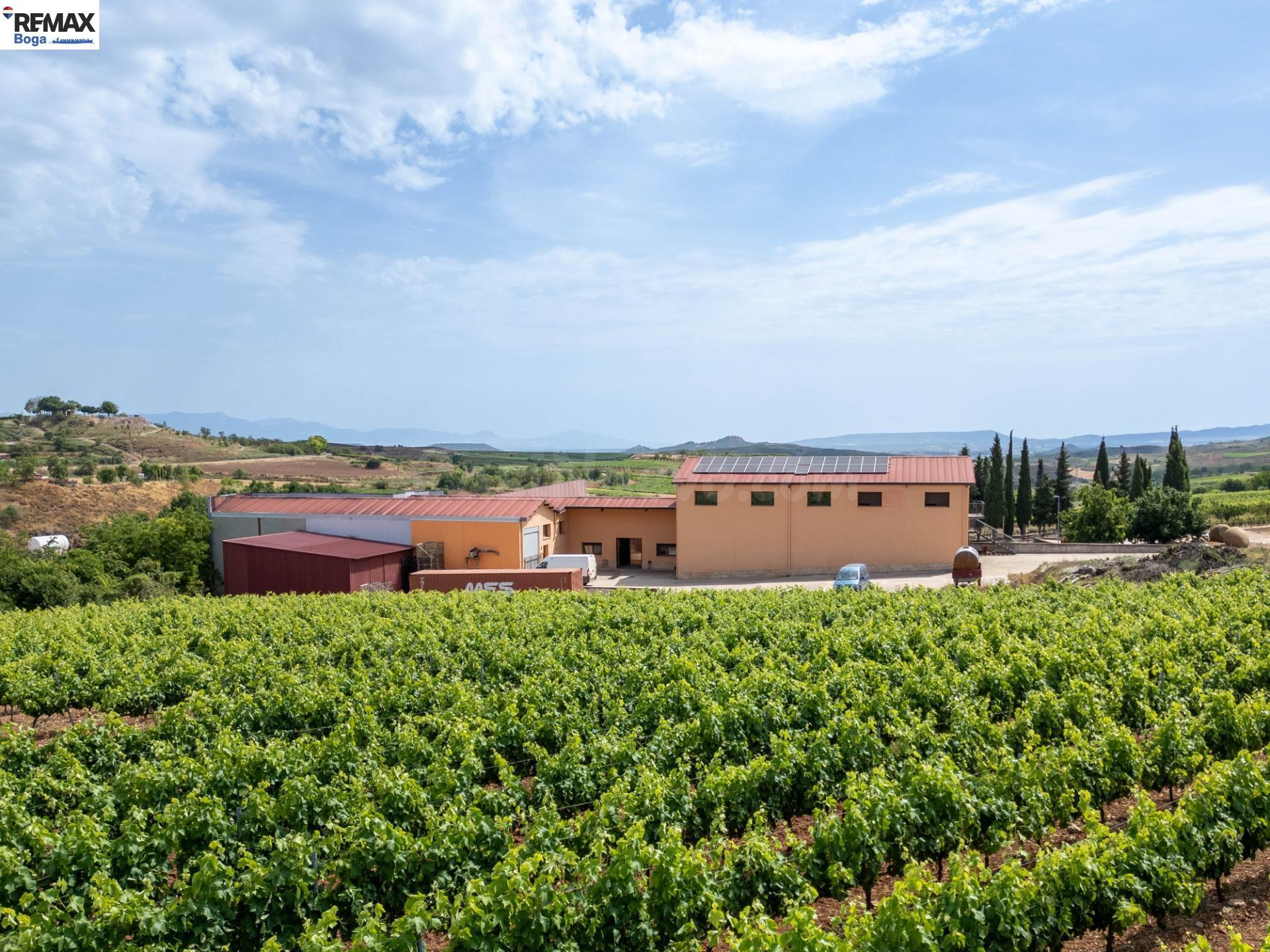 BODEGA PREMIUM EN RIOJA ALTA · D.O.Ca. RIOJA - foto 5