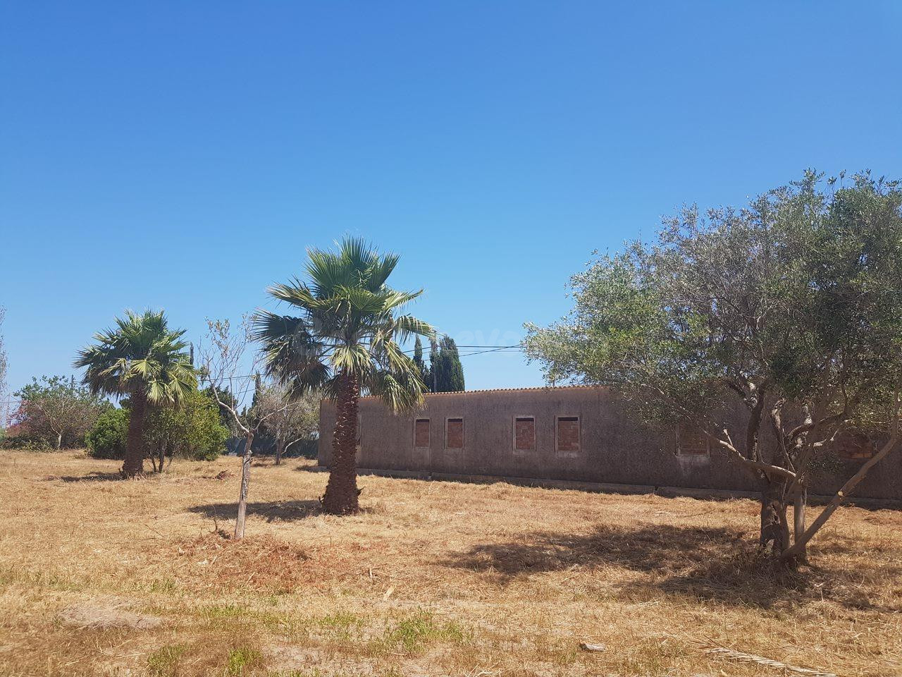 Oportunidad de Inversión: Nave Industrial en Venta por €969. - foto 2
