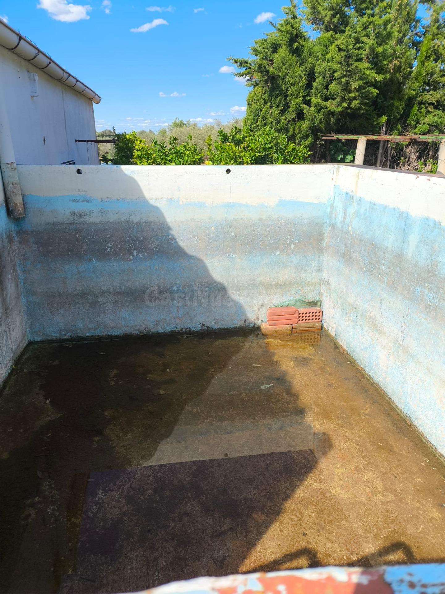 Finca con casa- La Senia - foto 2