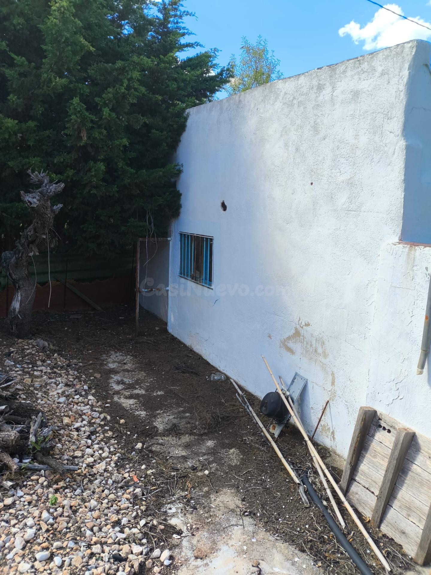 Finca con casa- La Senia - foto 5