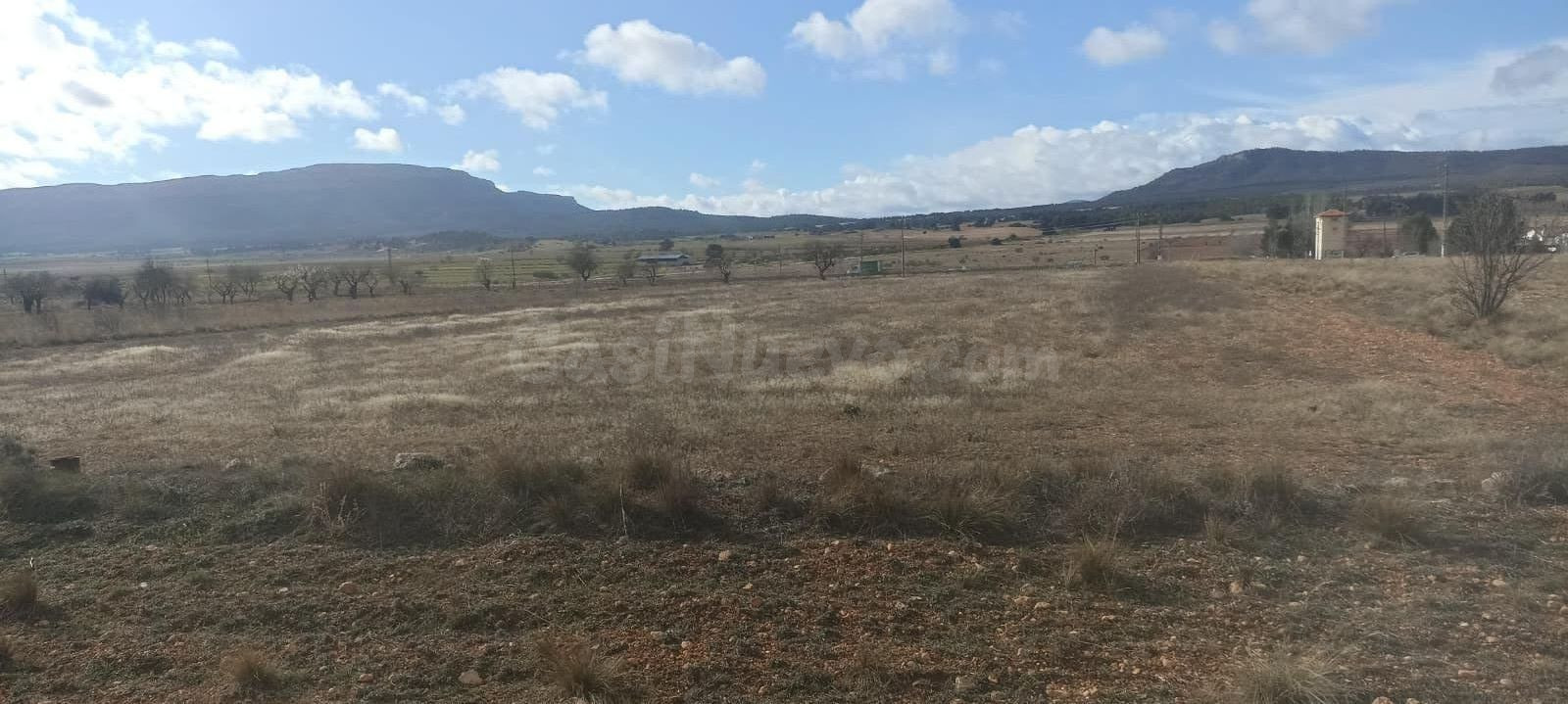 TERRENO EN CASAS DE MADRONA - foto 4