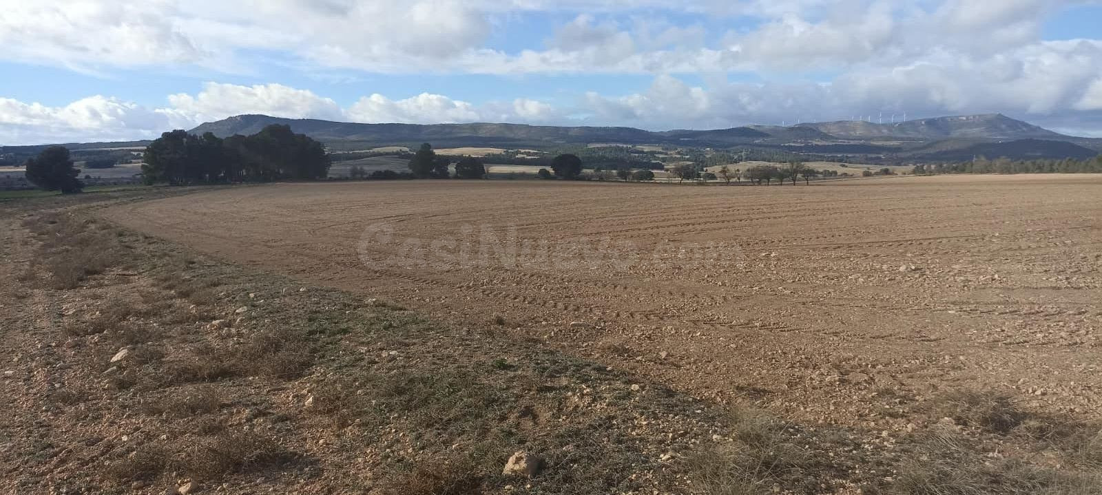 TERRENO EN CASAS DE MADRONA - foto 5