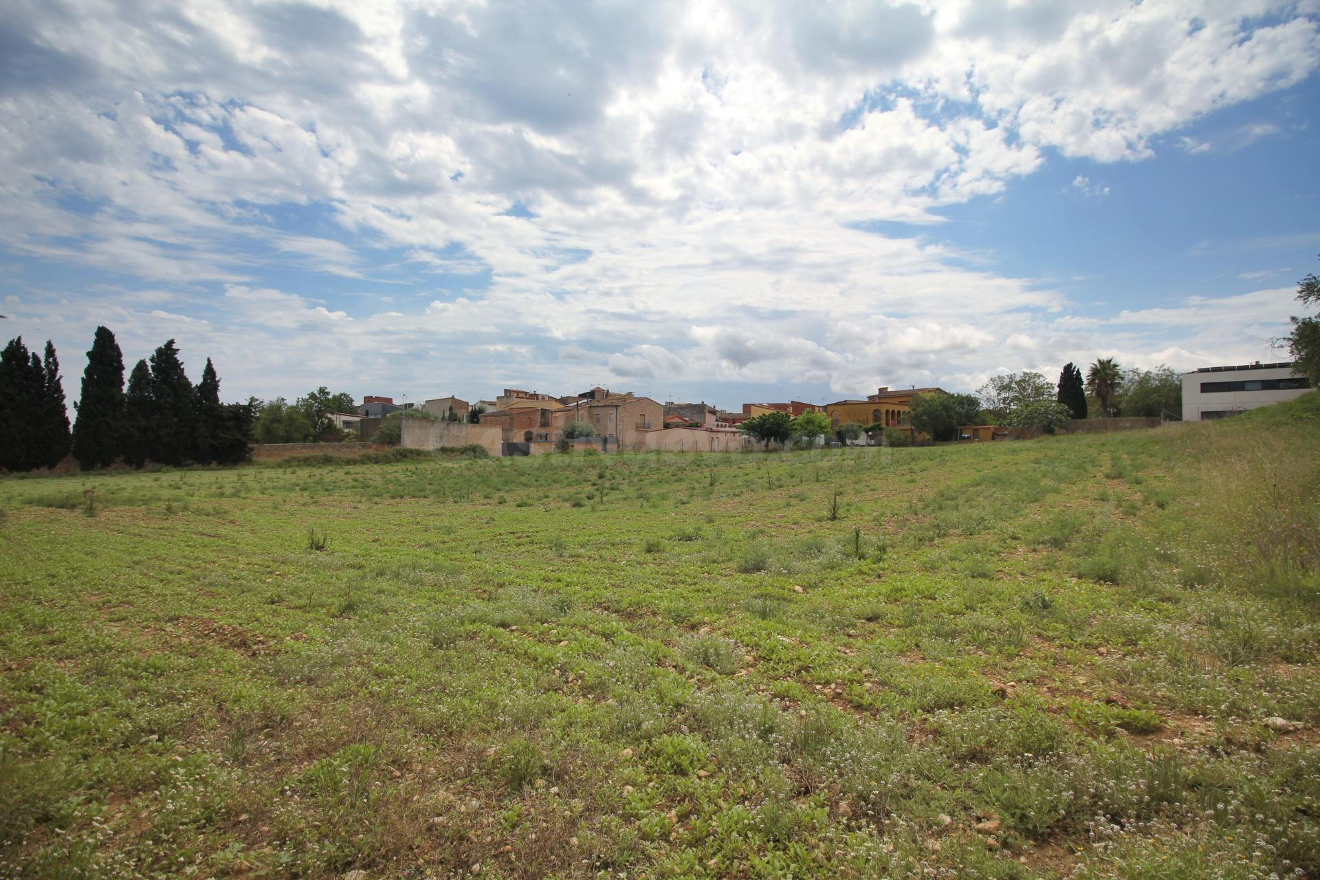 Parcela excepcional para inversores situada en el Baix Empor - foto 4