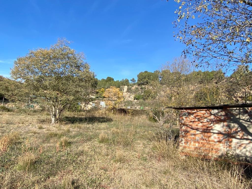 SE VENDE TERRENO DE HORTICULTURA EN SANT QUINTI DE MEDIONA - foto 2