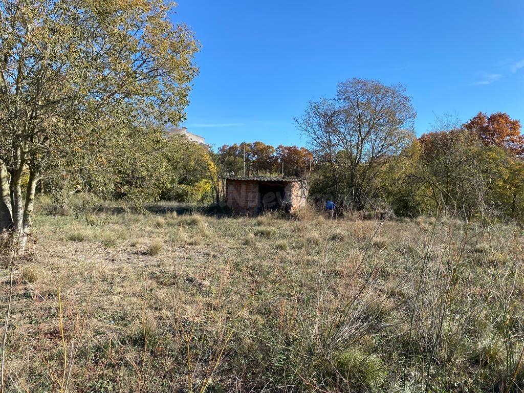 SE VENDE TERRENO DE HORTICULTURA EN SANT QUINTI DE MEDIONA - foto 3