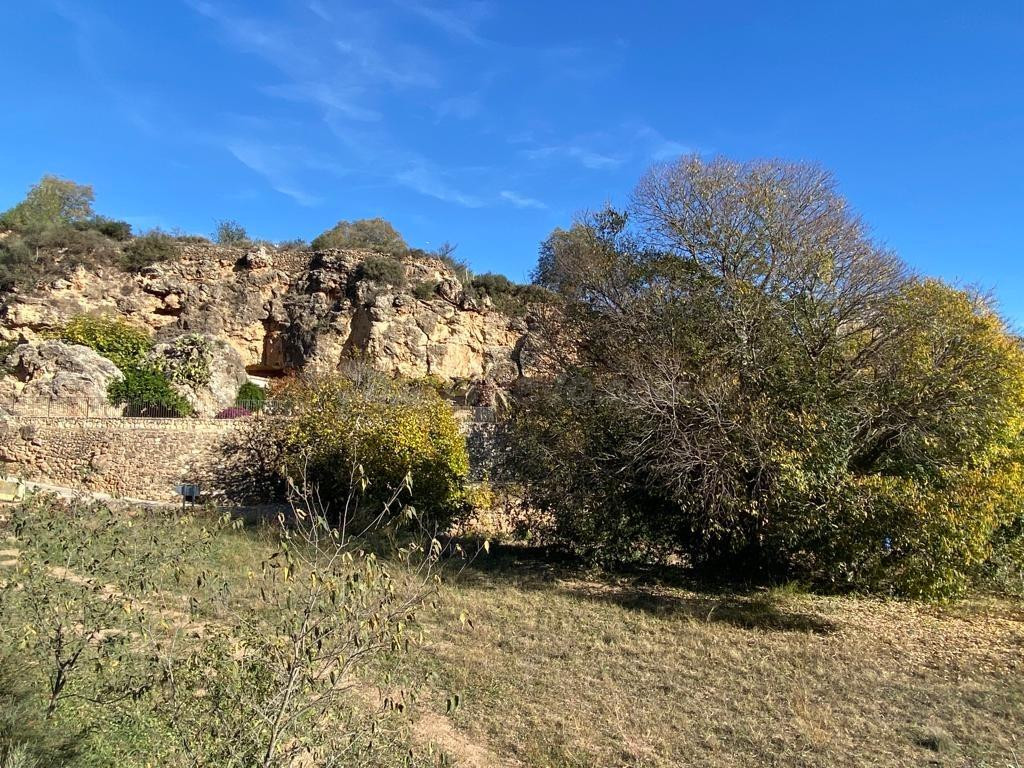 SE VENDE TERRENO DE HORTICULTURA EN SANT QUINTI DE MEDIONA - foto 5