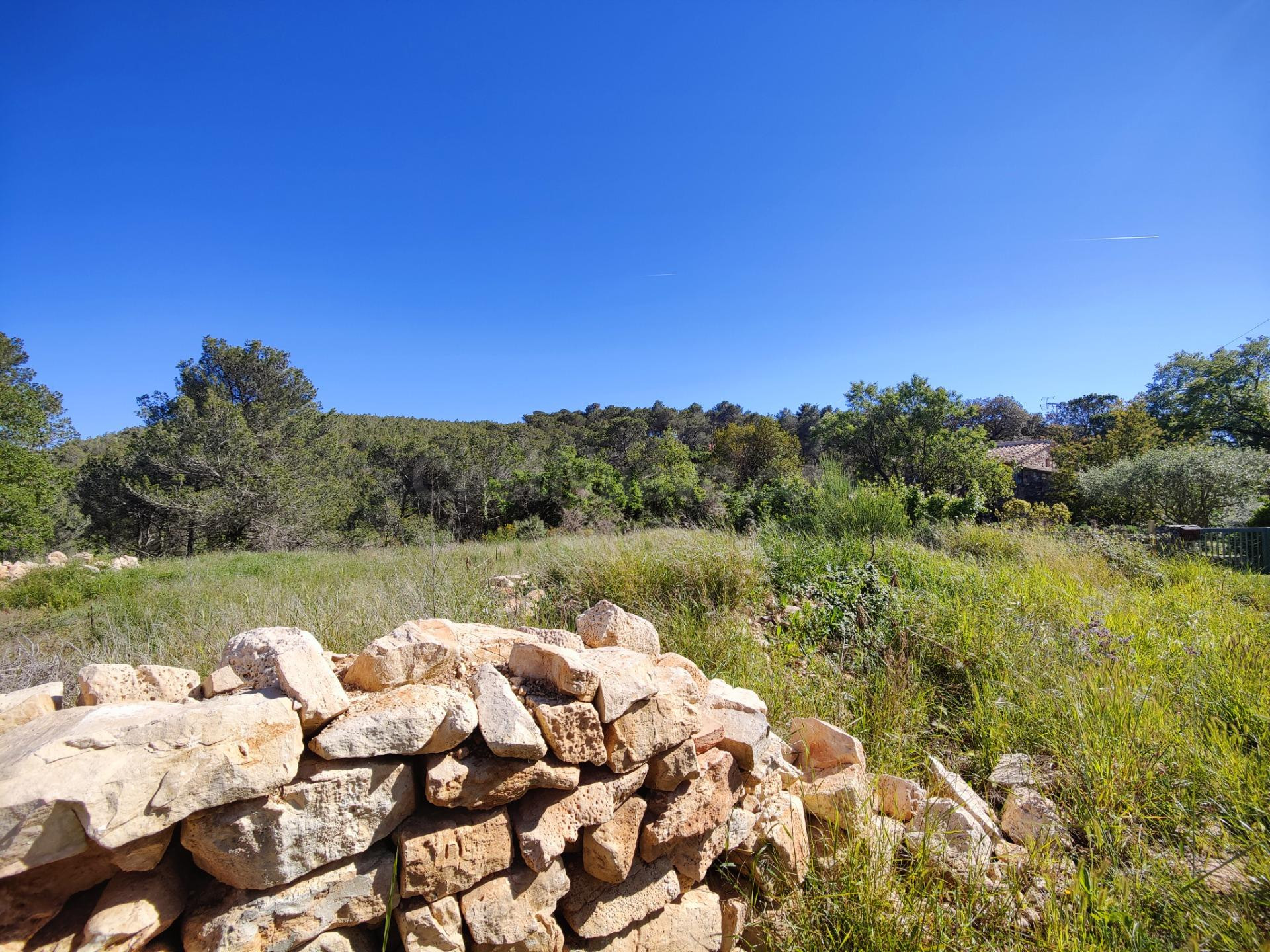 ÚNICO TERRENO URBANO EN VENTA EN EL COLL DE LA BARRACA - foto 2