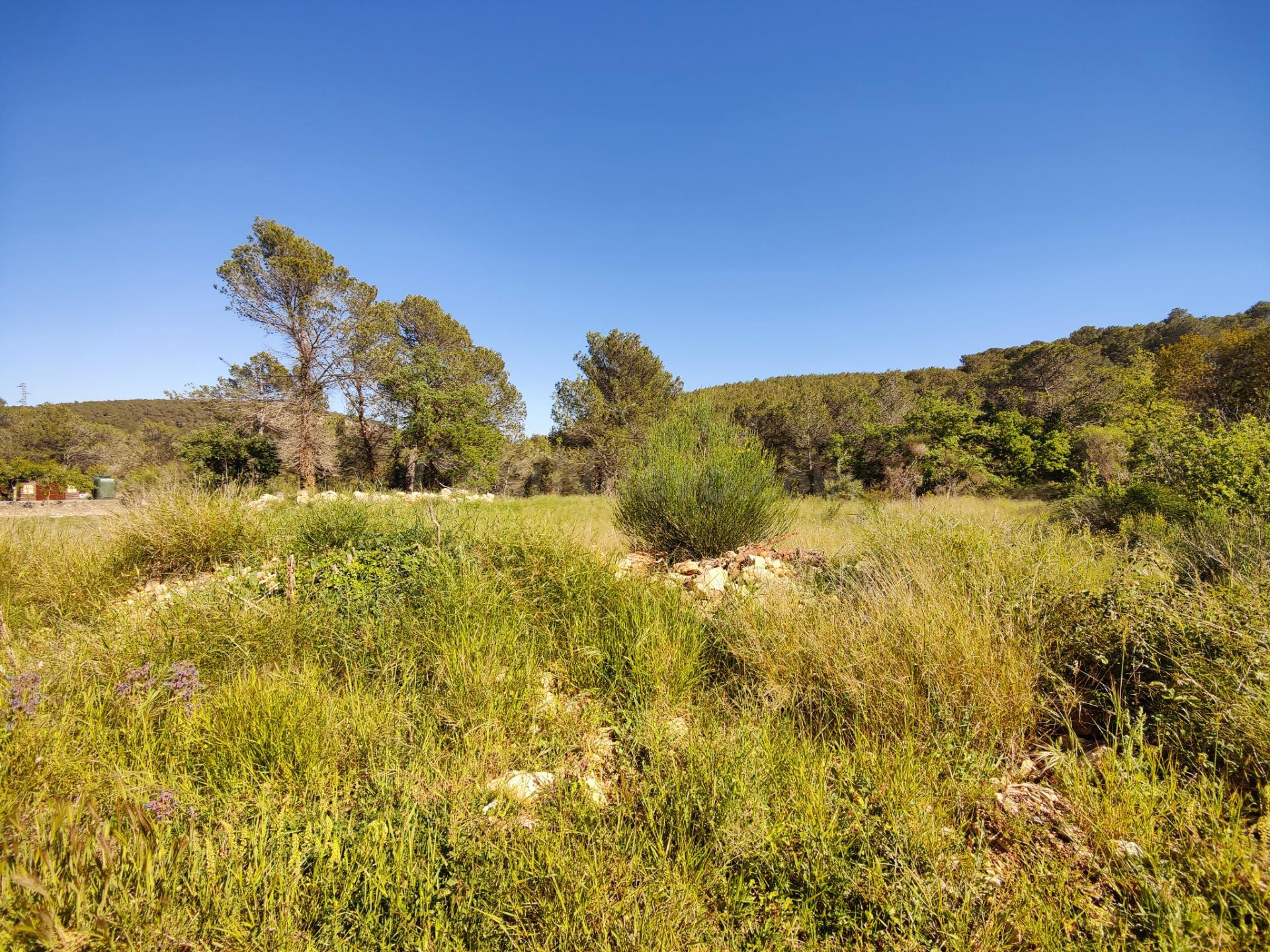 ÚNICO TERRENO URBANO EN VENTA EN EL COLL DE LA BARRACA - foto 3