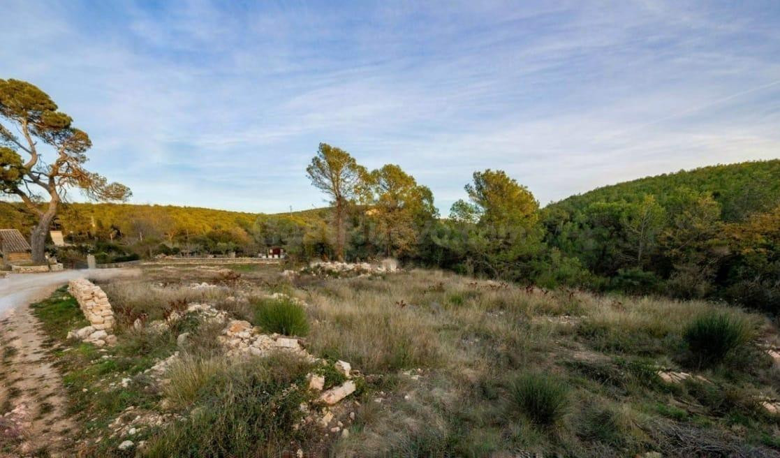 ÚNICO TERRENO URBANO EN VENTA EN EL COLL DE LA BARRACA - foto 4