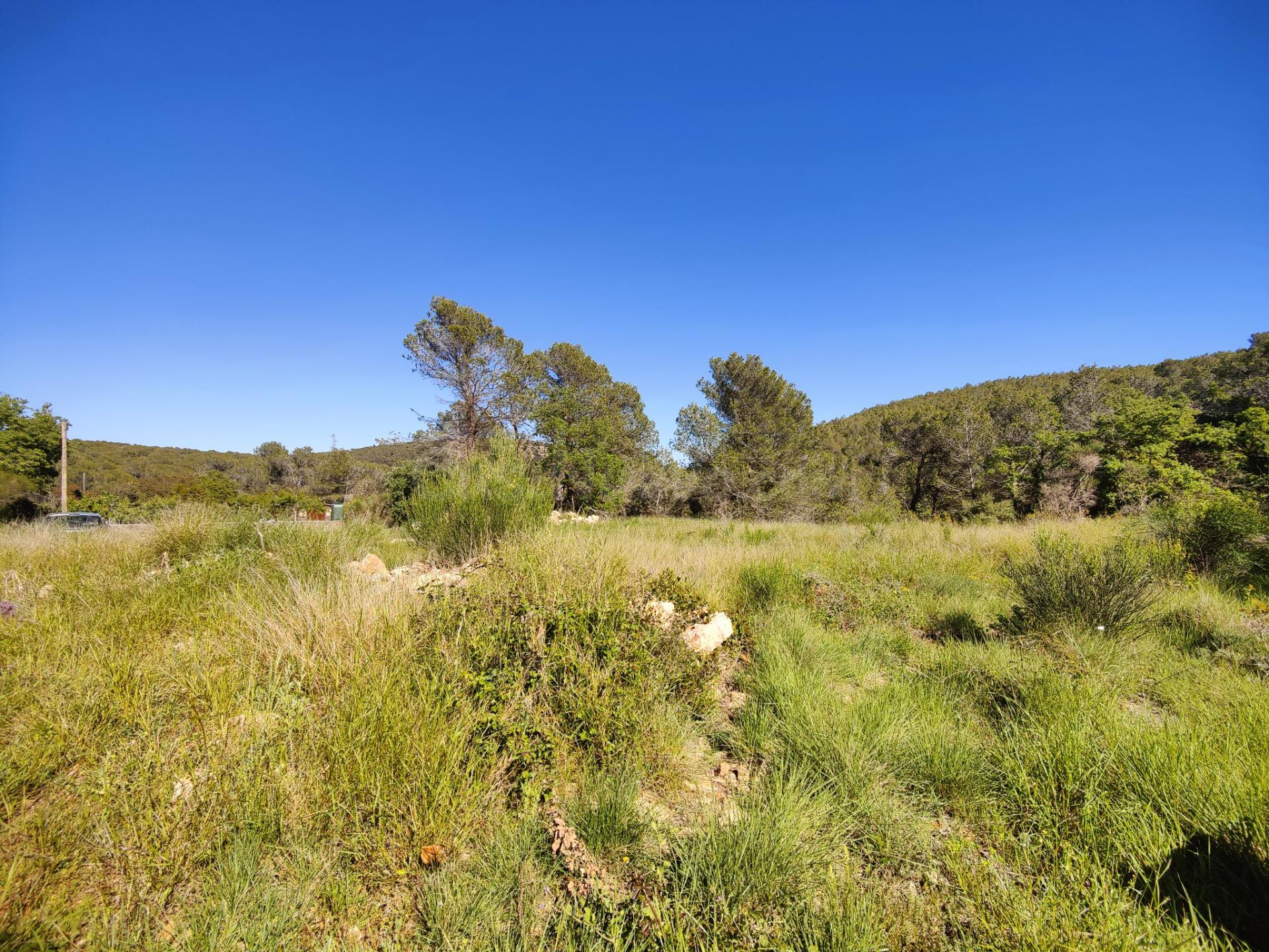 ÚNICO TERRENO URBANO EN VENTA EN EL COLL DE LA BARRACA - foto 5